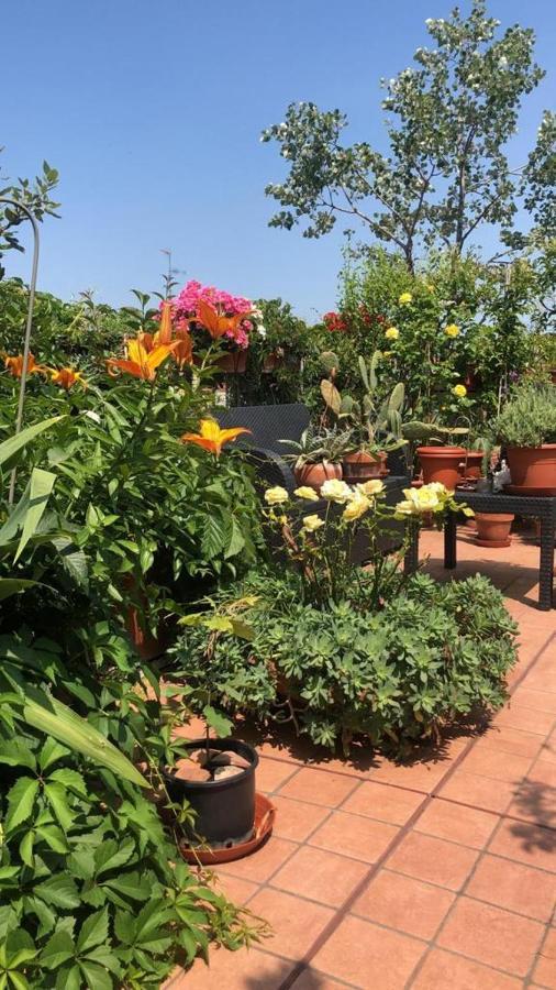Apartmán Il Giardino Sui Tetti Boloňa Exteriér fotografie